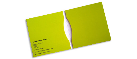 Double Disc SoftPack
